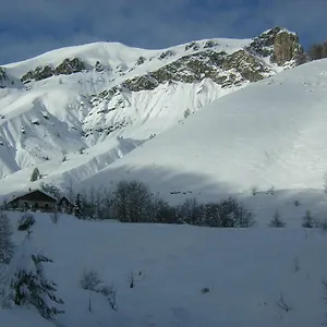 Lou Bella Vista Auron